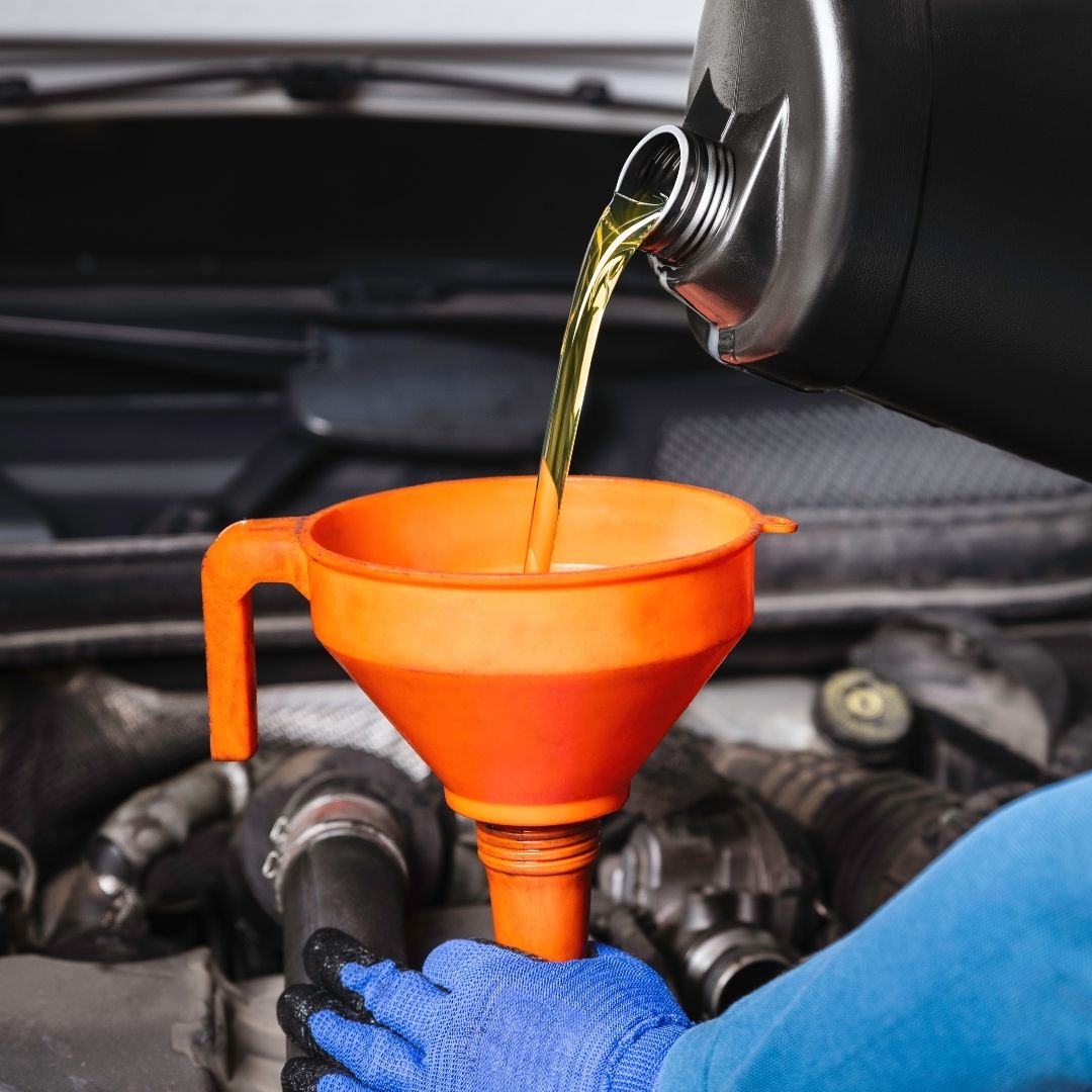 Oil & Fluid Changes.